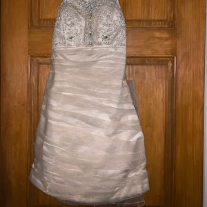 Nicole Bakti champagne cocktail dress